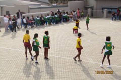 IMG_1031