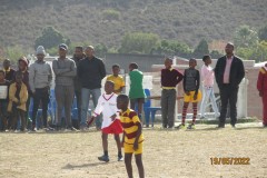 soccer-field